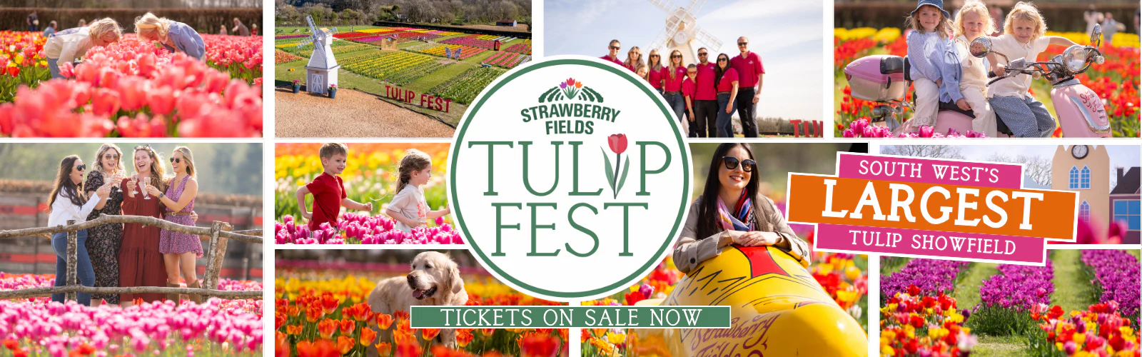 Freshness Rooted in Our Fields